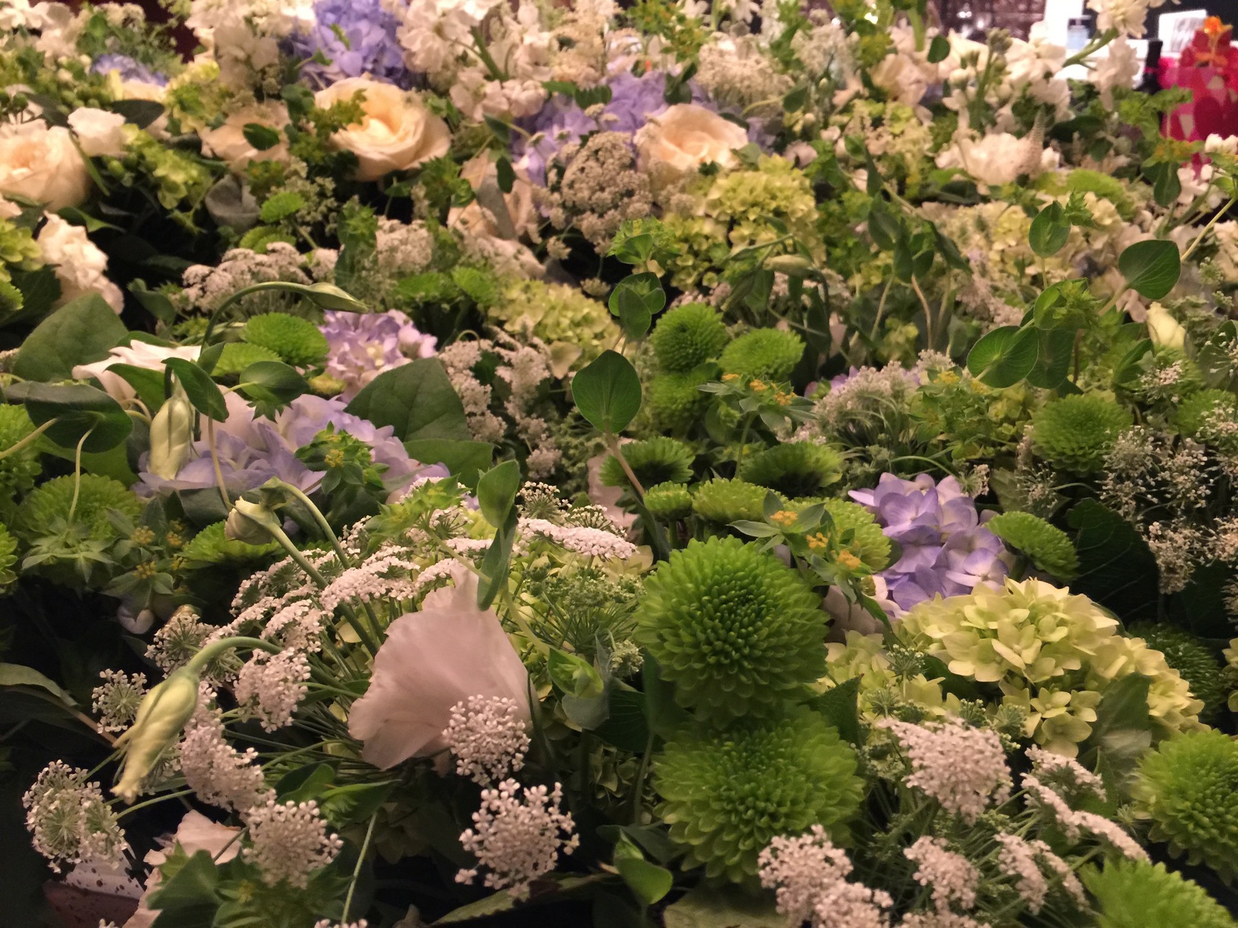 A close view of abundant pink, lavender and green flowers