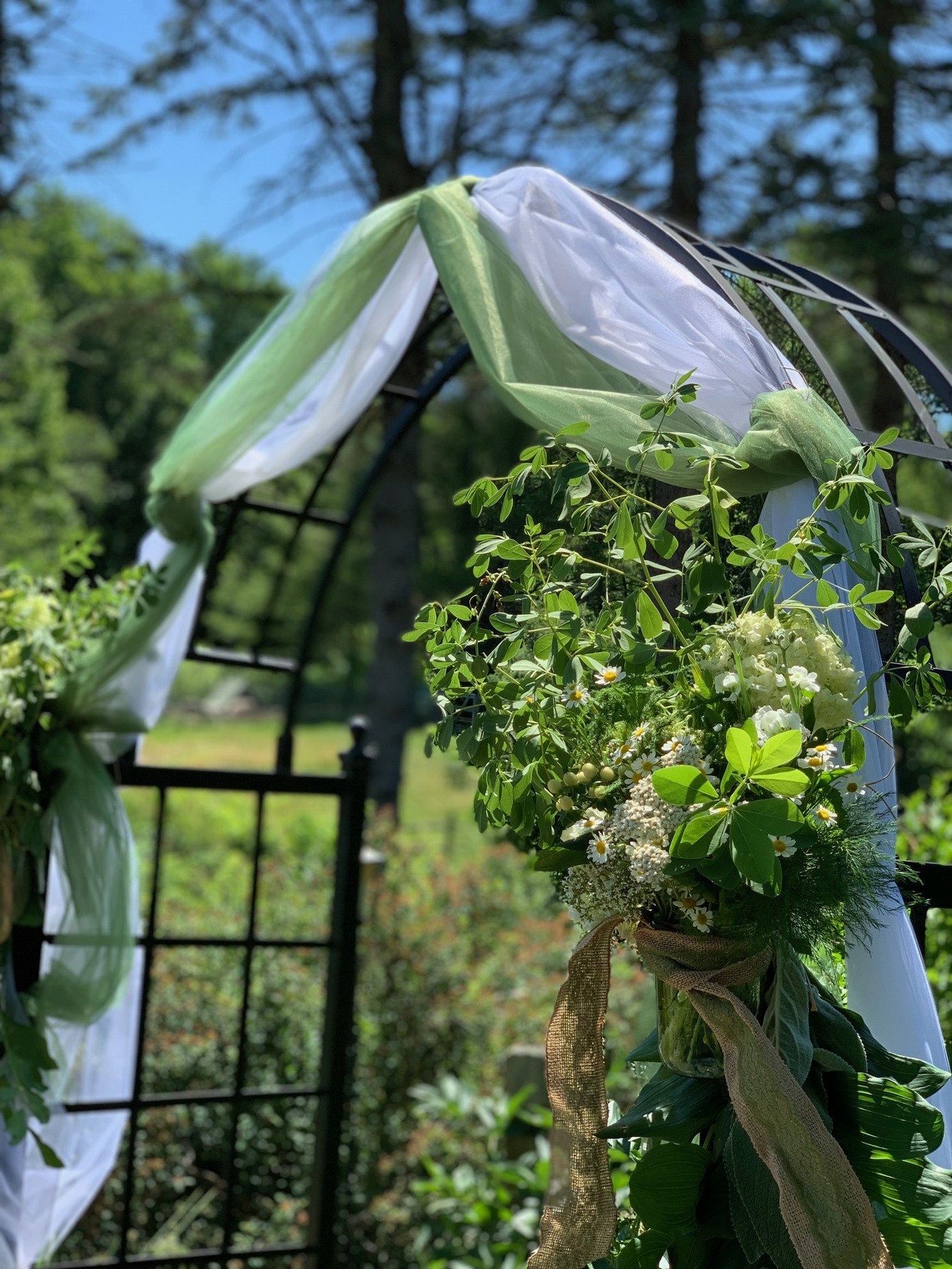 White and green flowers on a garden arbor draped with soft fabric