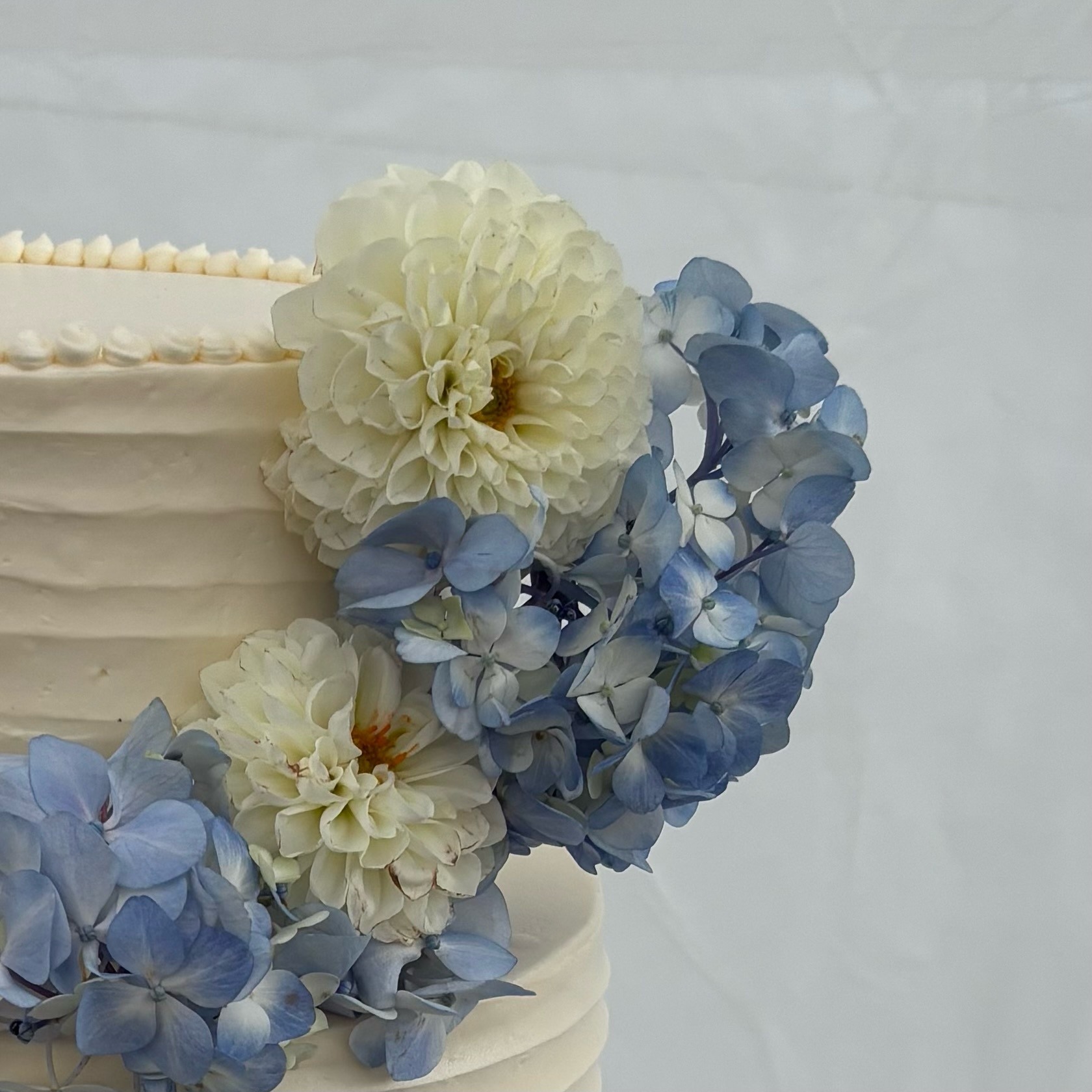 White wedding cake decorated with blue hydrangeas and white dahlias